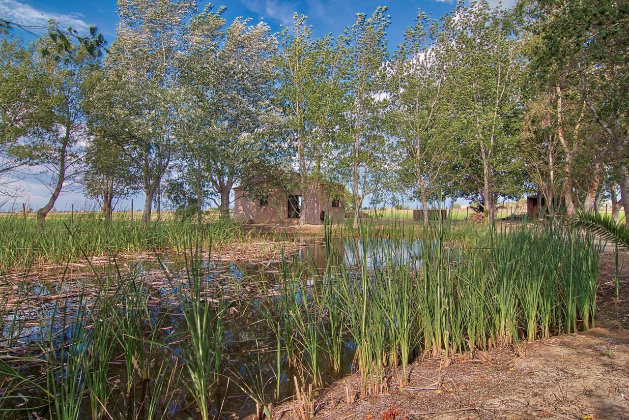 Villa La Illeta Deltebre Exterior foto